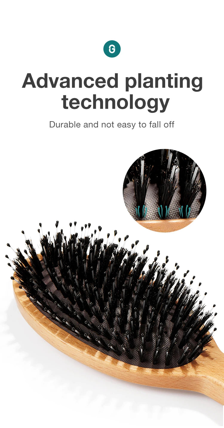 MR.GREEN Boar Bristle Hair Brush Natural Beech Comb Hairbrush for Curly Thick Long Dry Wet Hair Detangler Massage Brushes Women