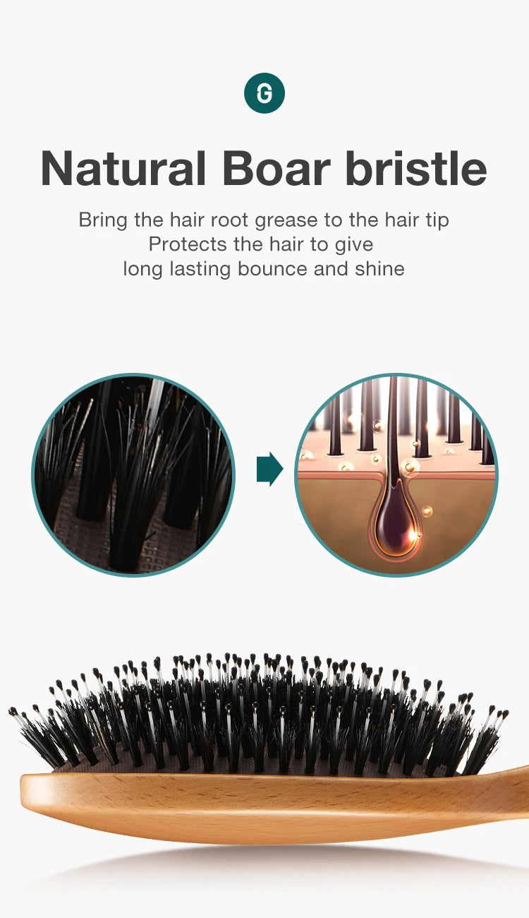 MR.GREEN Boar Bristle Hair Brush Natural Beech Comb Hairbrush for Curly Thick Long Dry Wet Hair Detangler Massage Brushes Women