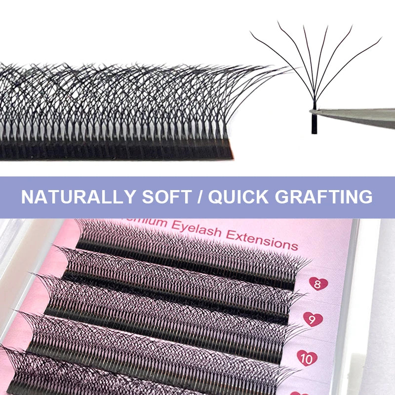 6D W Shape Eyelash Extensions - Pre Made Self Fan Lashes for Easy Application | Blooming Lashes Professional Kit
