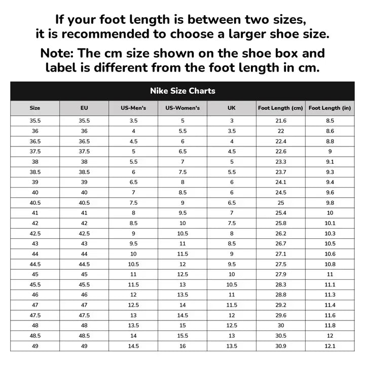 Nike Air Jordan 12 Phantom Basketball Shoes High-Perform Cushioning Support Breathable Unisex FD9101-007