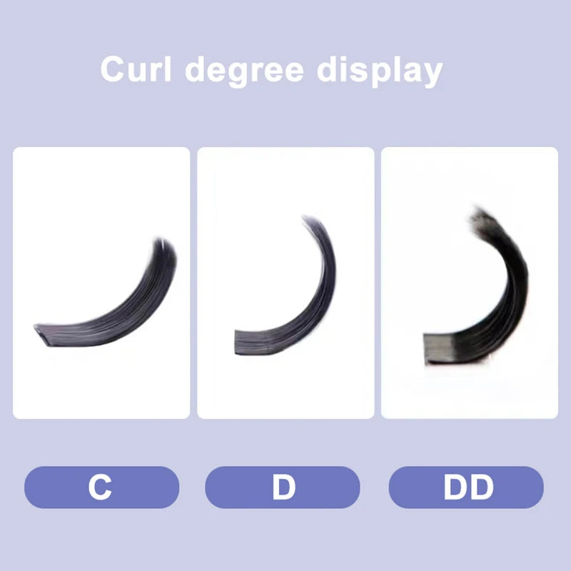 6D W Shape Eyelash Extensions - Pre Made Self Fan Lashes for Easy Application | Blooming Lashes Professional Kit