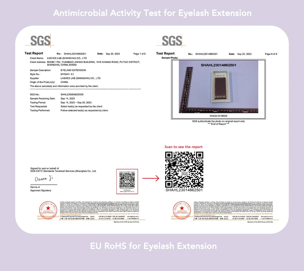 DIYDAY 3D W Lashes Extension 6D W Shaped Bloom Premade Eyelash Fans C D Curl Natural False Eyelashes for Extension Makeup